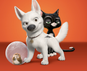On aime les chiens, On aime VOLT ! On aime les chiens, On aime VOLT !