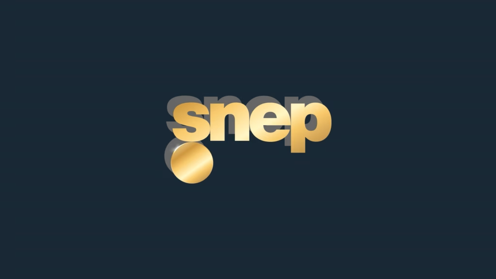 Logo doré du SNEP sur fond bleu nuit, rétrospective 2025 réalisée par Sonacom
